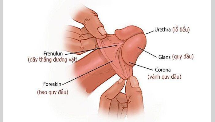 Bệnh viện Đại học Y dược TP.HCM