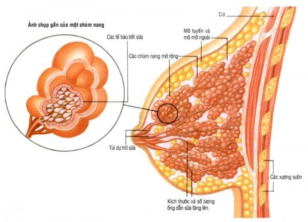 Bệnh viện Đại học Y Hà Nội