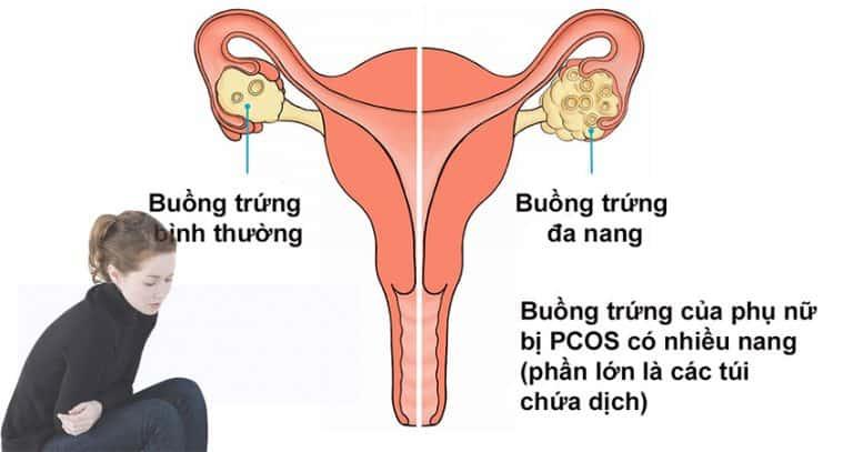 Bệnh viện Đa khoa Quốc tế Thu Cúc