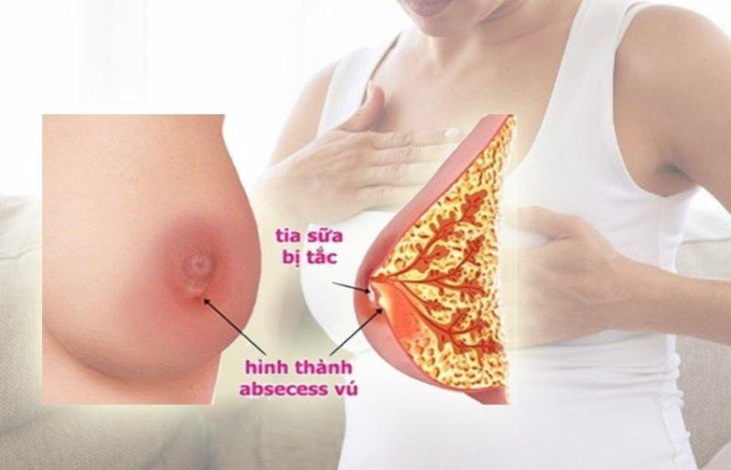 Bệnh viện Phụ Sản An Thịnh