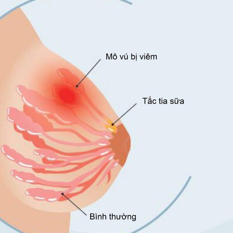 Bệnh viện Quốc tế City