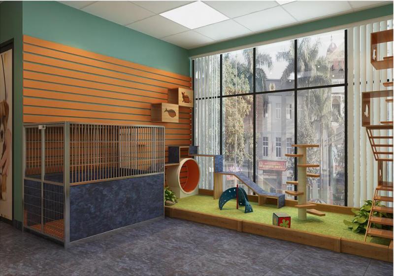 Bệnh viện thú cảnh Greenpet