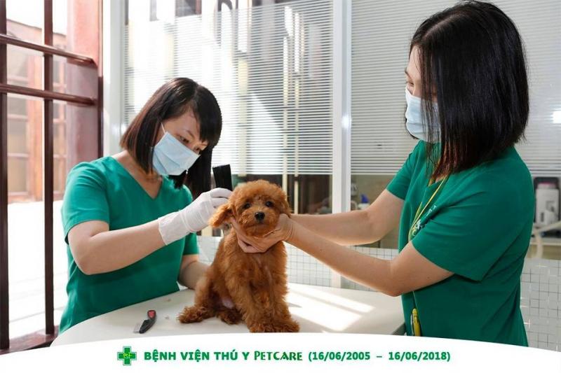 Bệnh viện Thú Y Petcare