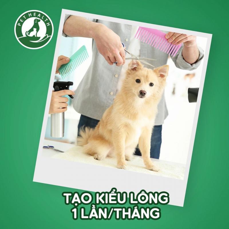 Bệnh viện thú y Pethealth
