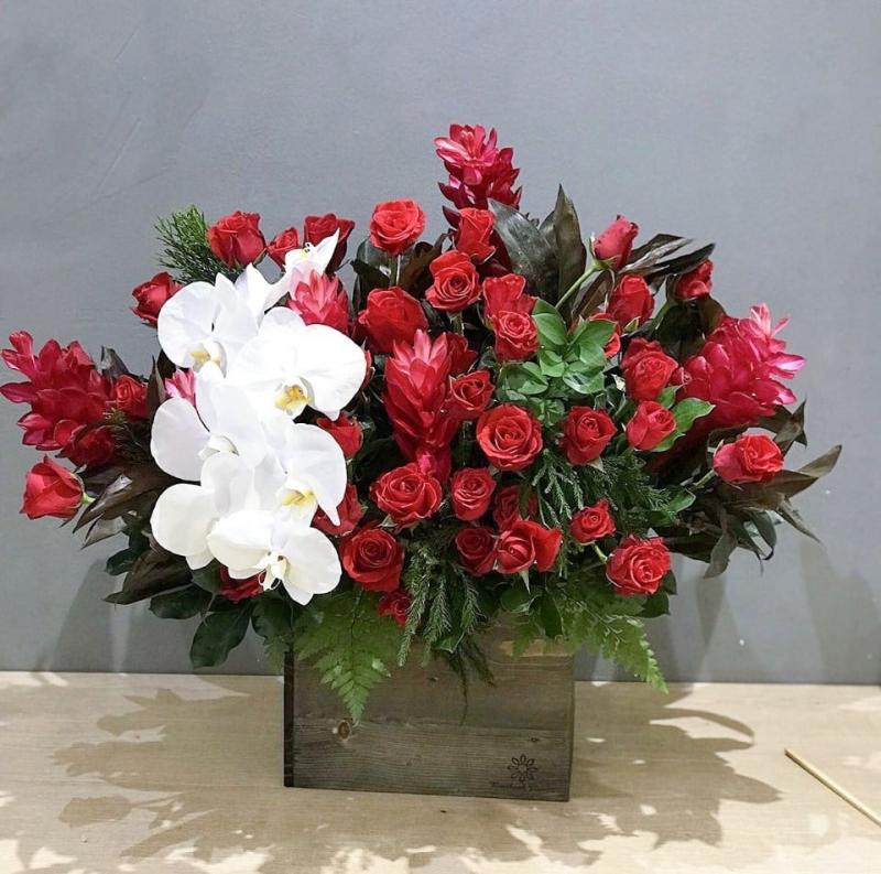 Hoa chậu tại Benthanh Flower sẽ khiến bạn cảm thấy vui vẻ cả ngày