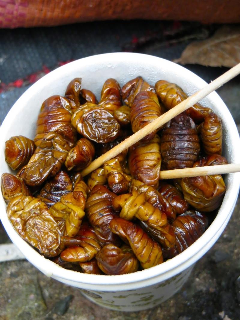 Beondegi