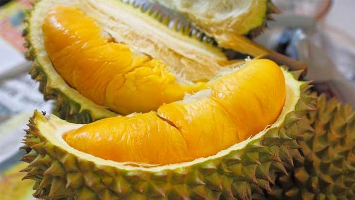 Bị cấm mang vào nơi công cộng