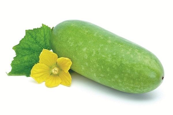 Bí đao giúp bạn giảm cân.