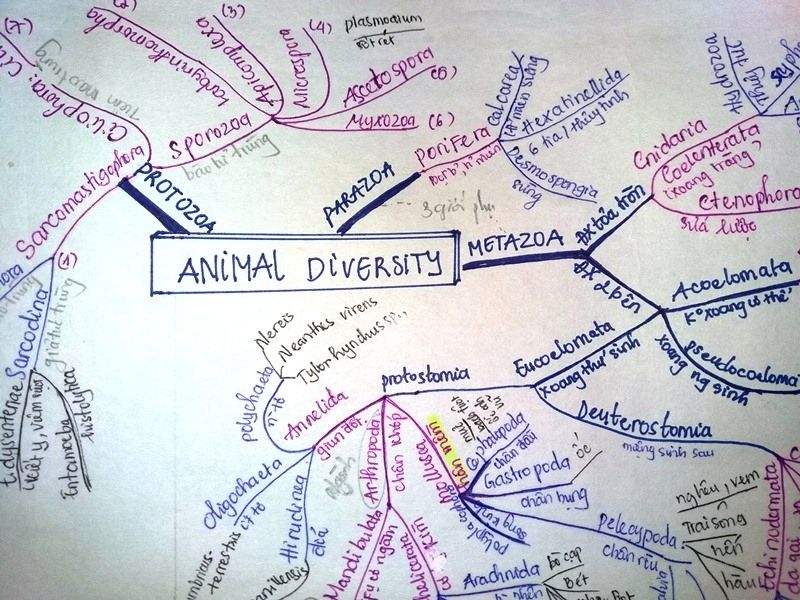 Mind map