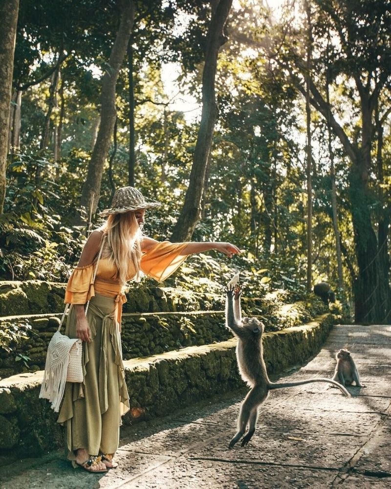 Rừng khỉ Ubud