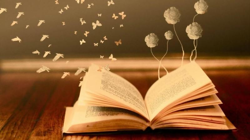 Phụ nữ đọc ngôn tình biết cảm thông