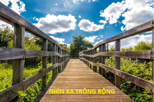Biết nhìn xa trông rộng
