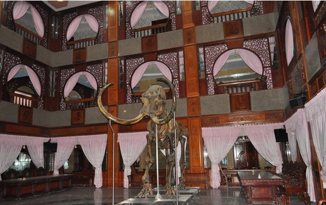 Bộ xương voi ma mút trong Dinh thự