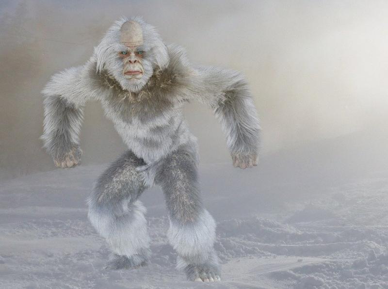 Bigfoot/Yeti