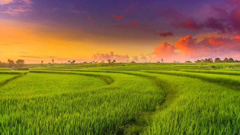 Bình Định quê tôi