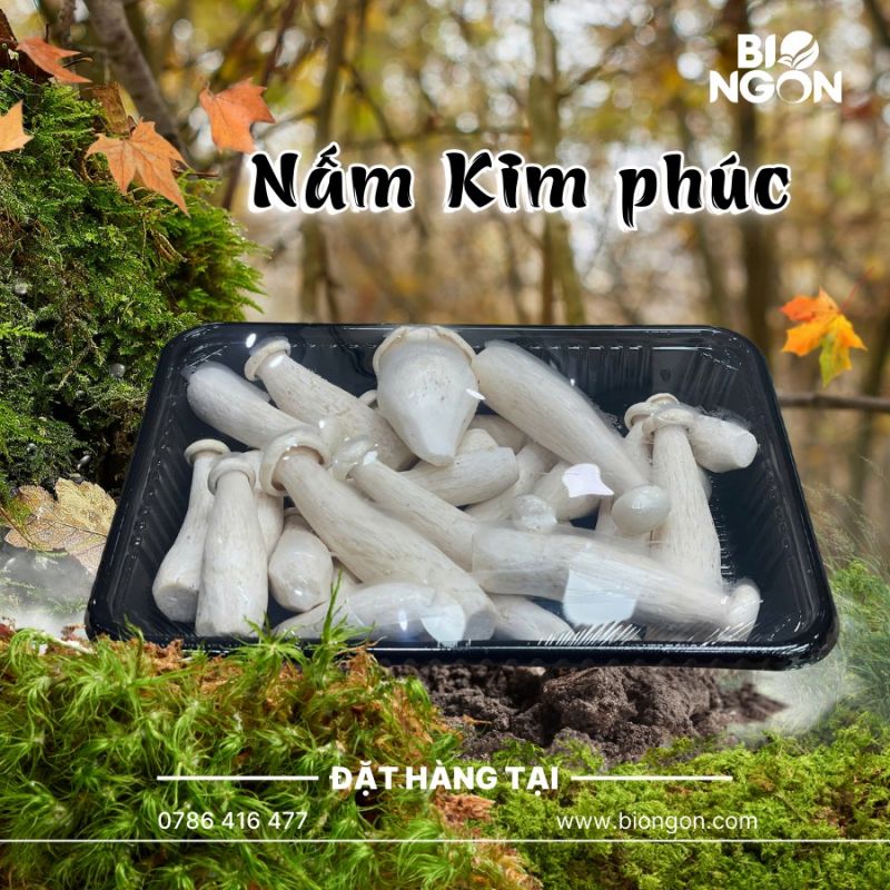 Bio Ngon﻿