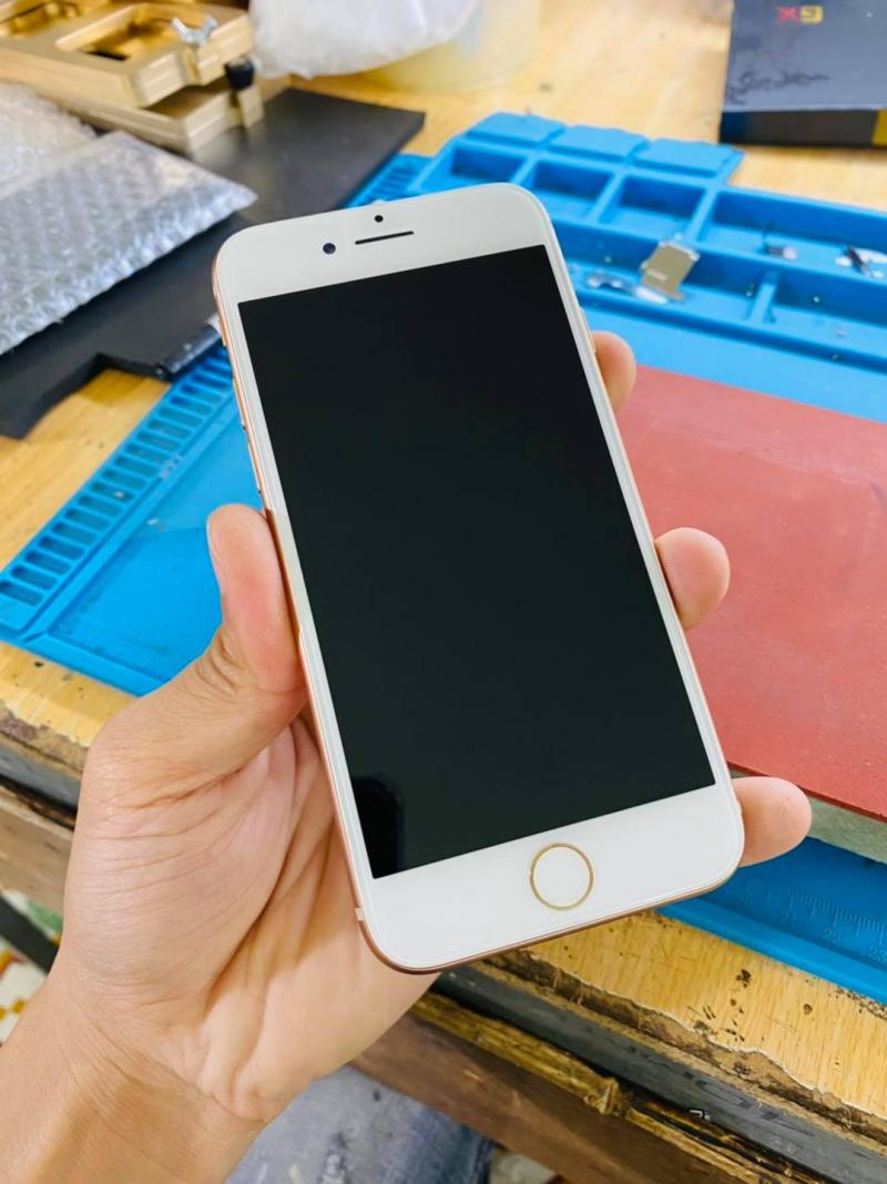 BIZ PHONE - Việt Trì