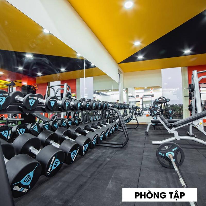 B.L.B Fitness and Yoga