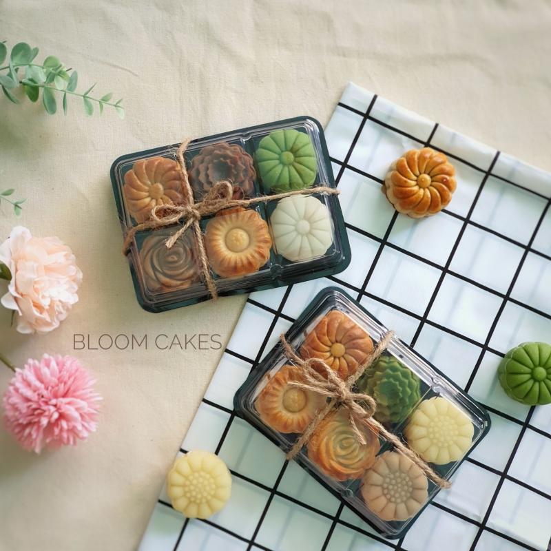 Bloom Cakes