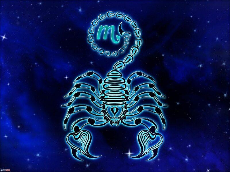 Tổng quan