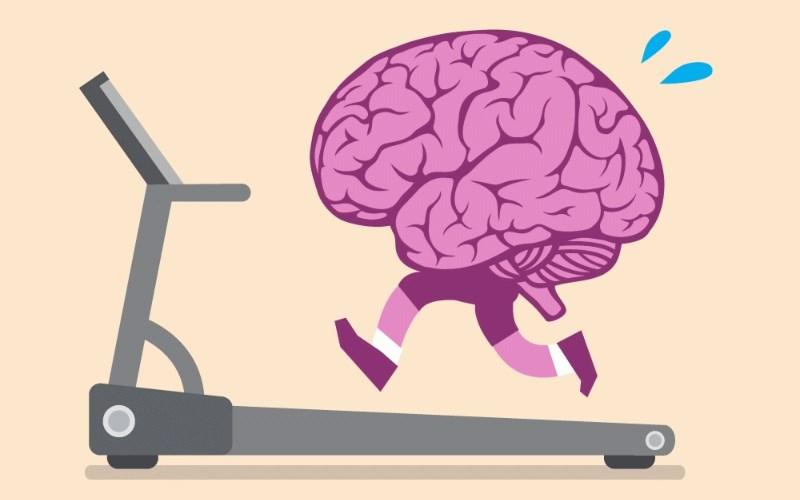 Trong trứng cút có nhiều dưỡng chất giúp cải thiện trí não