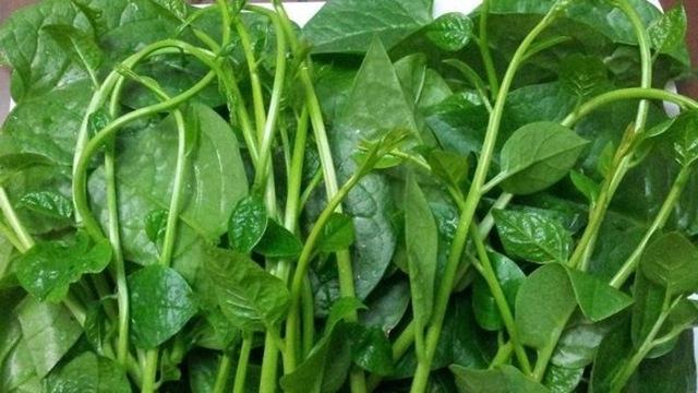 Các loại rau xanh có tác dụng nhuận tràng khá tốt