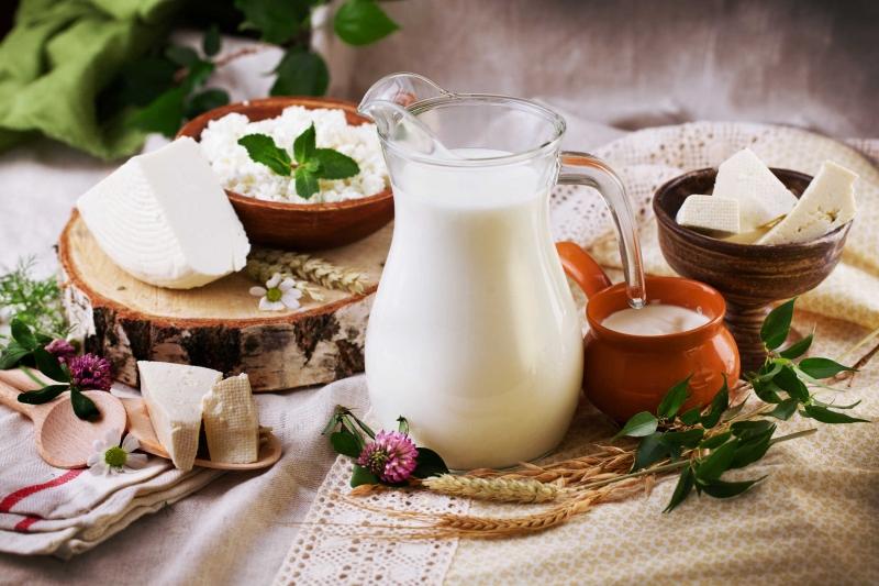 Thực phẩm chứa nhiều protein