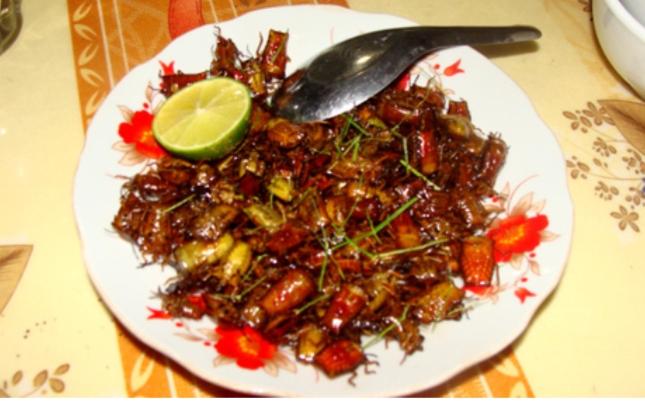 Bọ xít chiên giòn