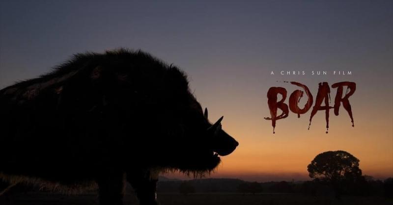 Boar