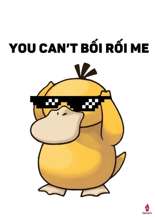 Bức ảnh về chú Vịt Bối Rối Psyduck