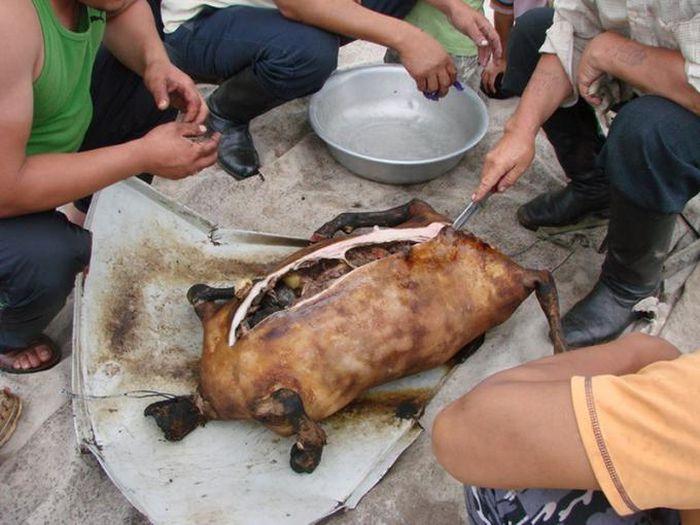 Boodog – Mông Cổ