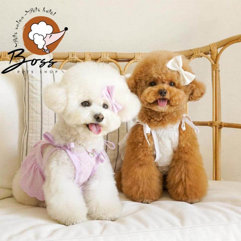 Boss Pets Shop - Thế giới thú cưng