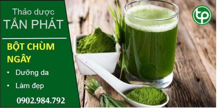 Bột chùm ngây Tấn Phát
