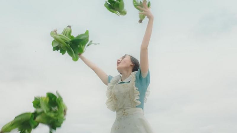 Thai Health Promotion Foundation - Bok Choy