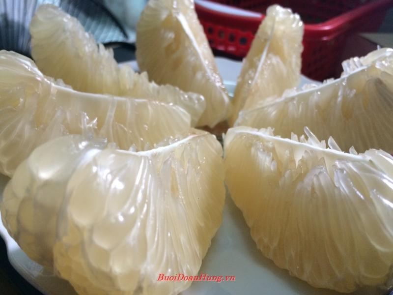 Bưởi