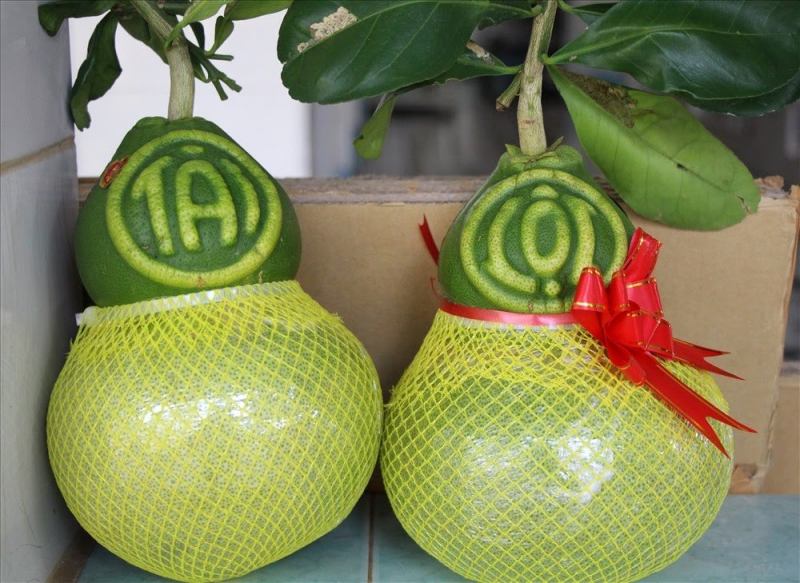 Bưởi hồ lô