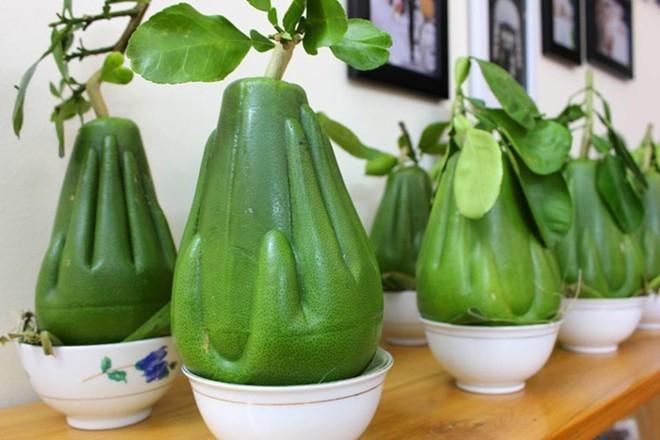 Bưởi tạo hình tay Phật