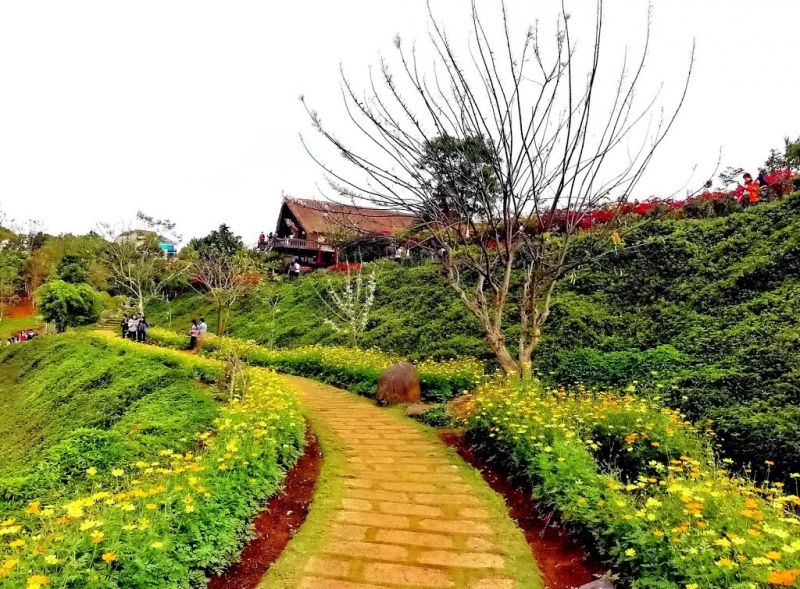 Buôn Ko Tam