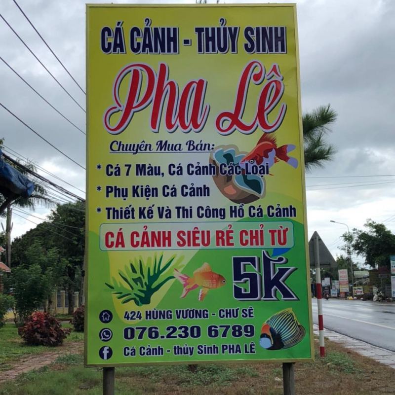 Cá Cảnh - Thuỷ Sinh Pha Lê