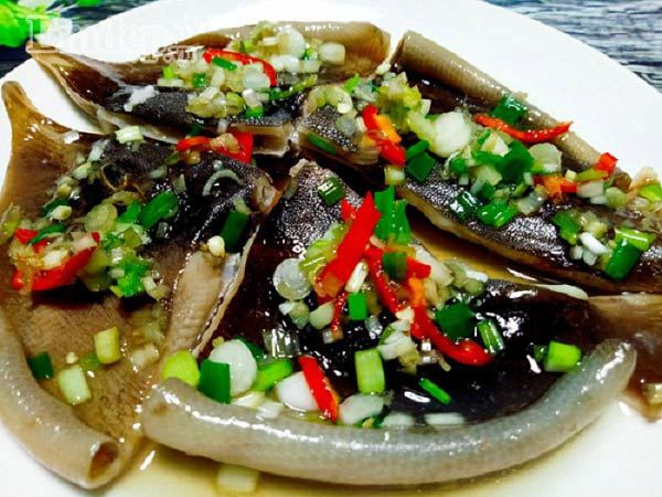 Cá lồi xối mỡ Bình Thuận