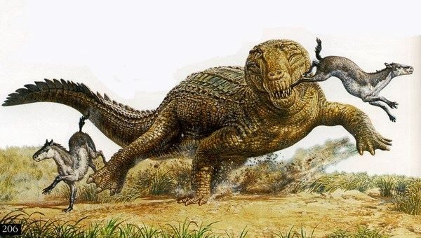 Là thành viên khổng lồ trong gia đình cá sấu với độ dài  23 feet (7 m)