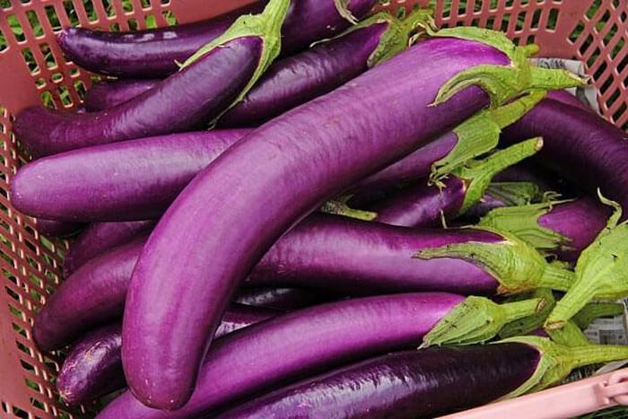 Cà tím tốt cho sức khoẻ