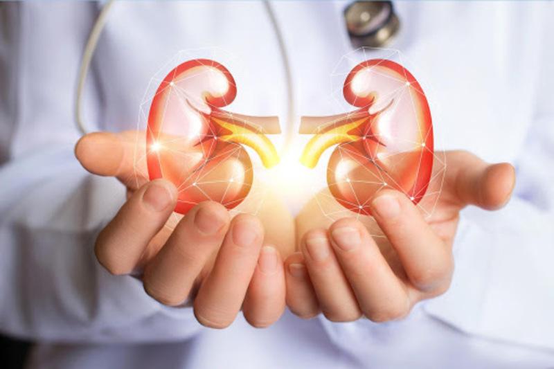 Suy thận mạn tính giai đoạn đầu thường không có triệu chứng