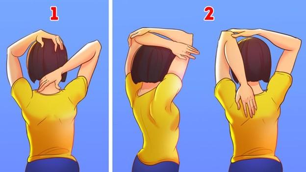 Các động tác cổ và vai