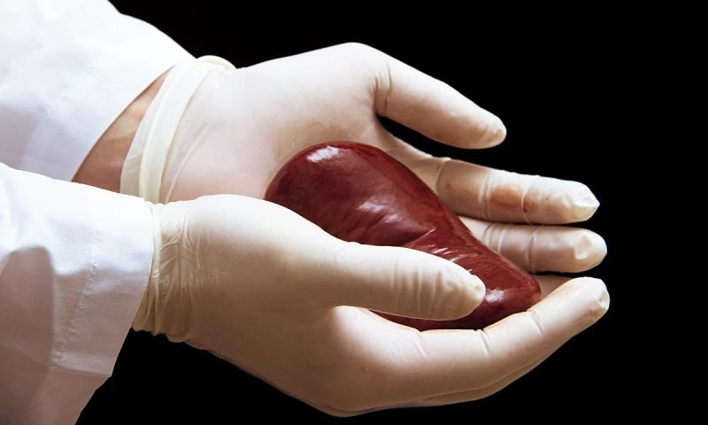 Ghép thận là phương pháp điều trị tối ưu nhất cho bệnh nhân suy thận giai đoạn cuối
