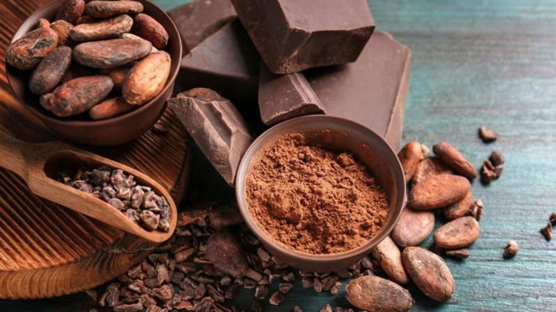 Các hợp chất flavonol trong ca cao