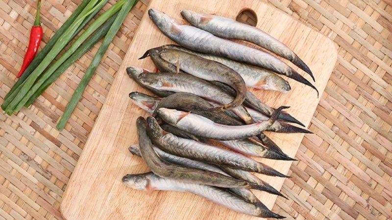 Các loại cá nước ngọt