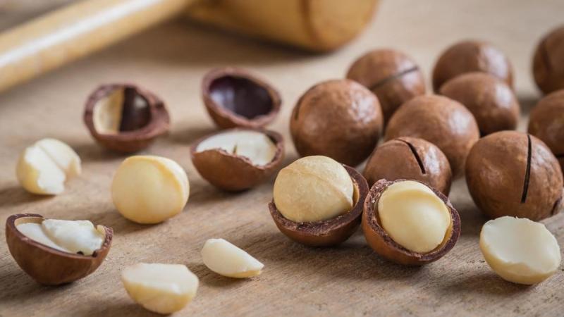 Các loại hạt