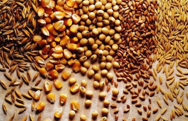Các loại hạt tốt cho não bộ