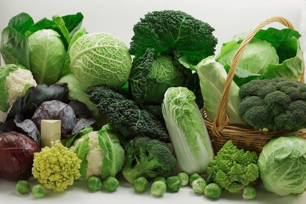 Các loại rau họ cải là thực phẩm tốt cho phổi